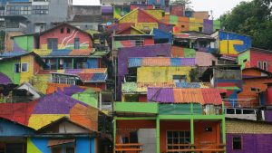2026 Color Stories: How Flower Palettes Can Transform the Mood of Your Home