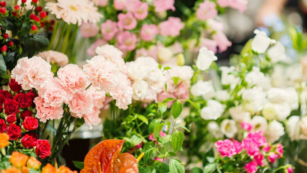 Flower Business in Norwalk, Connecticut: Why This Coastal City Has a Unique Floral Market