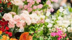 Flower Business in Norwalk, Connecticut: Why This Coastal City Has a Unique Floral Market